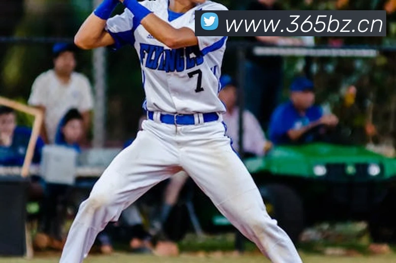 ayx官网登录入口网页APP 封面图